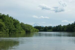 На Камчатке создают зоны спасения камчатского лосося