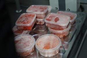 С 1 ноября на Камчатке ограничили вывоз икры с полуострова