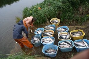 На Камчатке перед судом предстали члены родовой общины КМНС