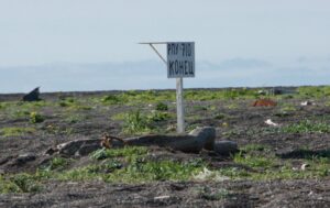 Рыболовные участки на Камчатке: уравнение с неизвестными