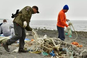 Нейросеть поможет очистить заповедные территории Камчатки от мусора