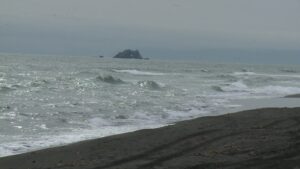 Купаться запрещено: на Халактырском пляже выявили кишечную палочку