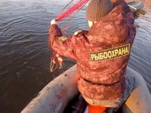 Речной дозор: на Камчатке стартует лососевая путина