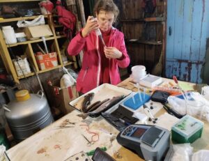 На заповедных территориях Камчатки реализуют 20 научных программ