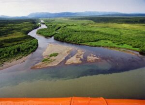 Мутная история: экологи снова выявили загрязнение камчатских рек