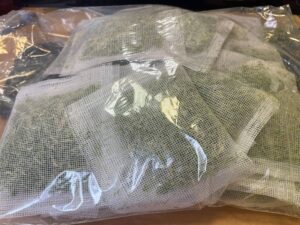 Биоиндикаторы для оценки качества воздуха разместят в поселках Камчатки