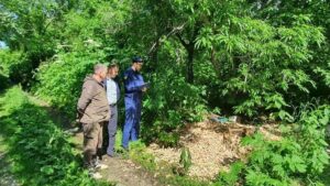 На Камчатке нашли крупные свалки крабовых отходов