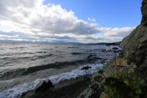 Ученые следят за &laquo;цветением&raquo; микроводорослей в Авачинской губе