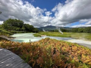 У Долины гейзеров на Камчатке установят кемпинг для туристов