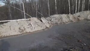 Бетонный завод на Камчатке оштрафовали за разлив бетона в лесу