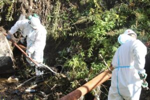 На ручье в Петропавловске-Камчатском разлились нефтепродукты