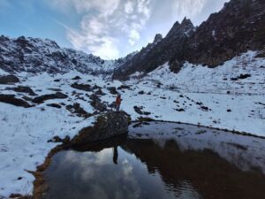 На Камчатке продолжают изучать разные формы гольцов-эндемиков