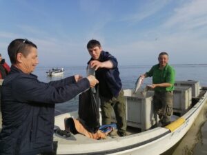 Лимиты для КМНС на Камчатке: в поисках новых принципов