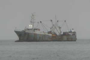 Налоговые поступления рыбаков в бюджет Камчатки выросли в 12 раз