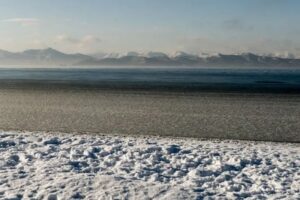 Санитарные врачи обеспокоены состоянием Авачинской бухты на Камчатке
