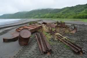 Дело об очистке: последнее слово сотрудников Кроноцкого заповедника