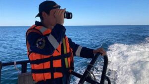 В Авачинском заливе на Камчатке изучали распределения икры минтая