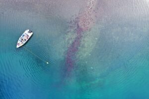 Кроноцкий заповедник: цифровые технологии служат охране природы