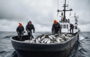 Рыбодобывающее предприятие на Камчатке отстояло свои квоты в суде