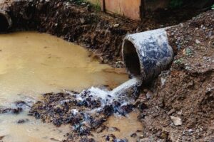 Прокуратура требует устранить разлив сточных вод в реку Быстрая