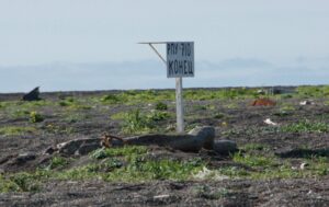 Будет ли рыба в камчатских реках после массового банкротства рыбзаводов?