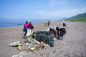 Добровольцы и нейросеть очищают от мусора побережье Камчатки