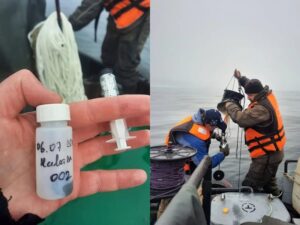 Ученые исследуют &laquo;красные приливы&raquo; на севере Камчатки