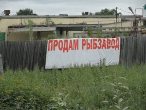 Добытчики лососей на Камчатке готовятся к массовому банкротству