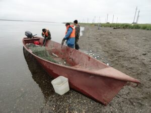 Ассоциация КМНС Камчатки предлагает изменить закон о рыболовстве