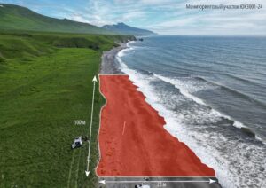 На заповедных территориях Камчатки изучили морской мусор