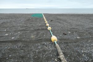 Определены сроки завершения лососёвой путины-2024 на Камчатке