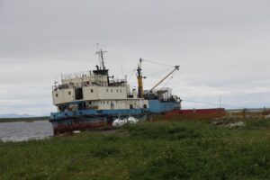 Лососевая путина-2024: лишь погода виновата?