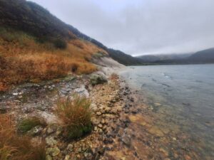Самый быстрый в мире случай эволюции гольцов обнаружен на Камчатке