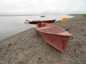 Перезаключение договоров на лососевые участки обойдется в 239 млрд рублей