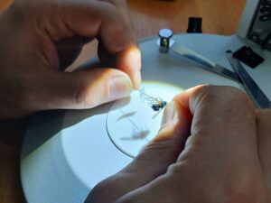 Началась инвентаризация энтомологической коллекции Кроноцкого заповедника