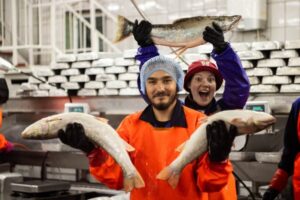 &laquo;Рыба твоей мечты&raquo;: студенты примут участие в лососевой путине-2025