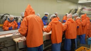 Спор о рыболовных участках: Камчатка просит отсрочки