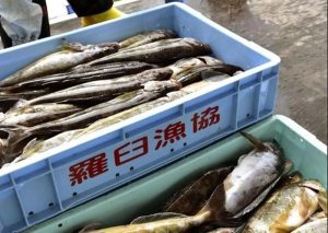 Россия и Япония: стабильность или угроза лососю?