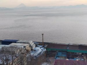 В Авачинской губе зафиксирован нетоксичный &laquo;красный прилив&raquo;