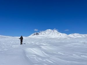 Кроноцкий заповедник: аномальная зима ставит мониторинг под угрозу