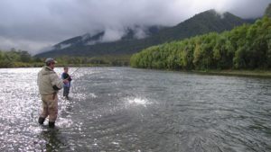 Почему Камчатка отказалась от сахалинского опыта ловли горбуши?