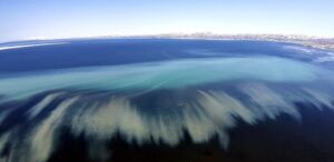 Запасы камчатской сельди: авиаучет определит объемы вылова в 2027 году