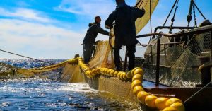 Рыболовные участки: долгосрочная аренда, краткосрочные выгоды?