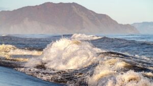 Экосистема Камчатки оживает после &laquo;красного прилива&raquo; 2020 года