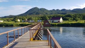 Камчатские ученые доверят подсчет нерки искусственному интеллекту