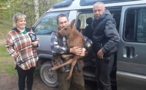 На Камчатке люди спасли лосенка от верной смерти в зубах медведя