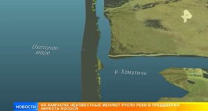 Браконьеры на Камчатке меняют течения рек ради ловли лосося