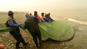 Рыбалка по списку: для КМНС отменят подачу заявлений на вылов