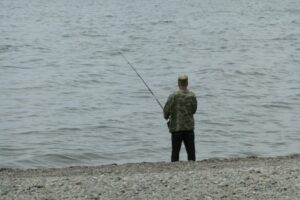 На Камчатке обсуждают возможность бесплатного лова горбуши