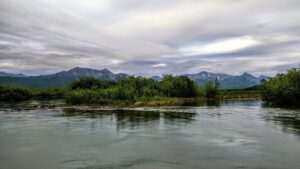 Озеро на Камчатке стало &laquo;лабораторией&raquo; для эволюции лососевых